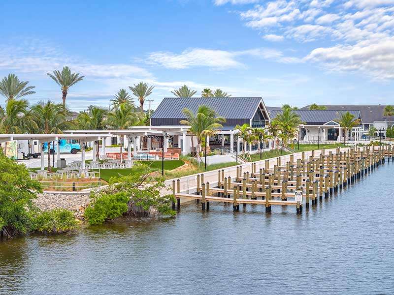 Scenic waterfront view with palm trees and dock.