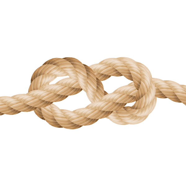 Knot Icon